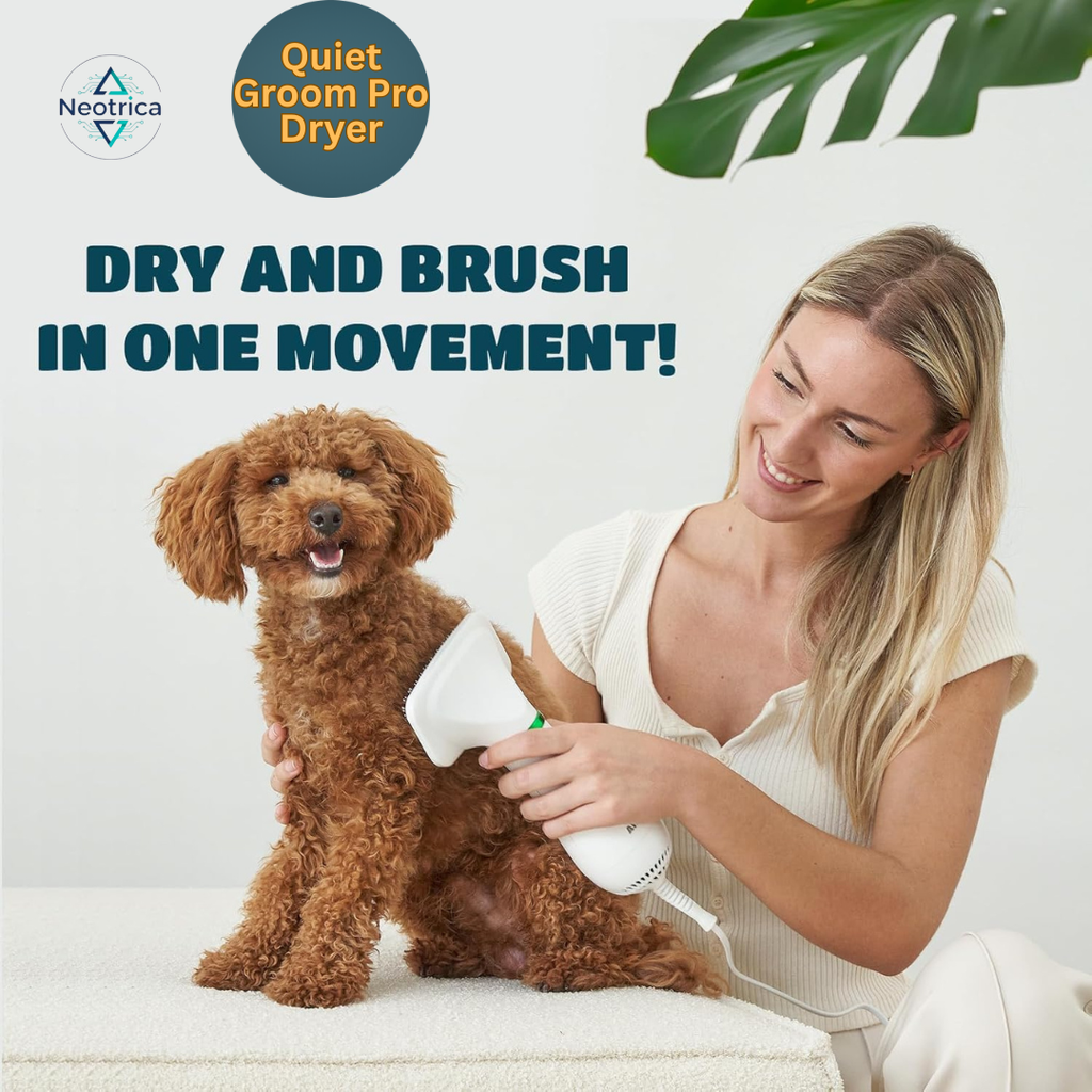 Quiet Groom Pro Dryer