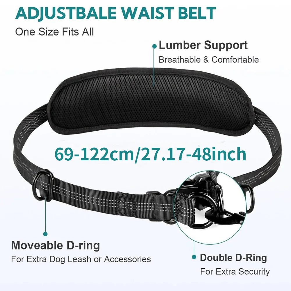 Hands-Free Running Dog Leash Pack