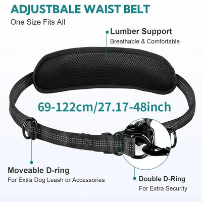 Hands-Free Running Dog Leash Pack