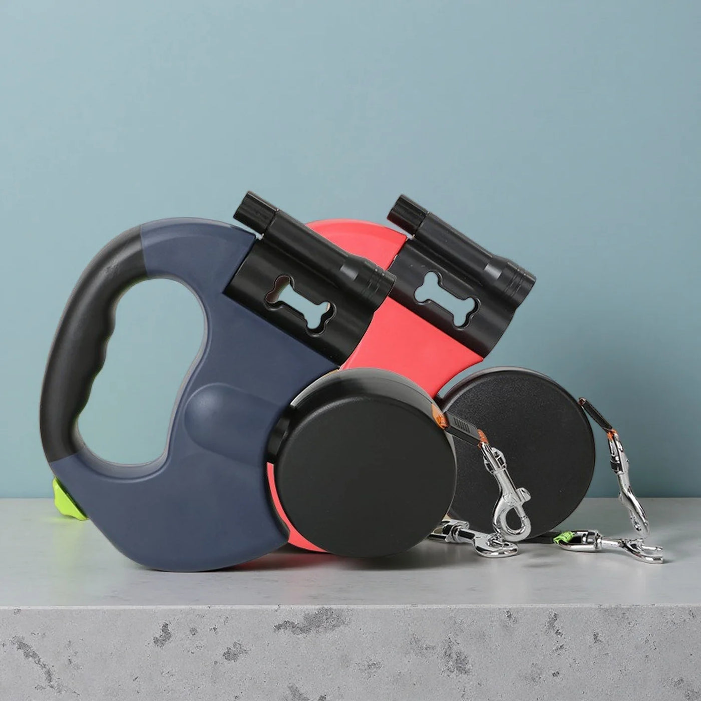 Dual Dog Walking Companion