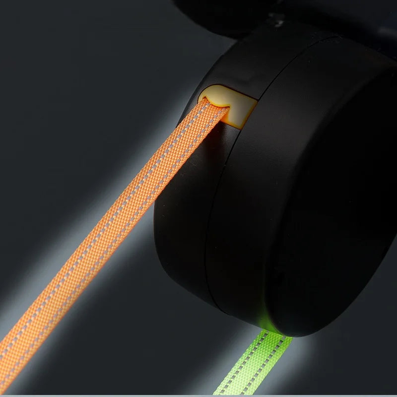 Dual Dog Walking Companion